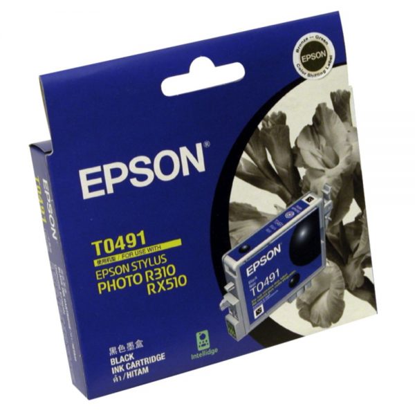 Genuine Epson T0491 Black Ink Cartridge